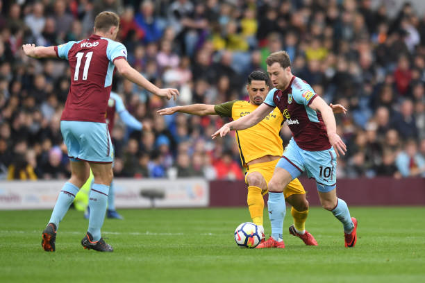 澳大利亚女 澳大利亚女