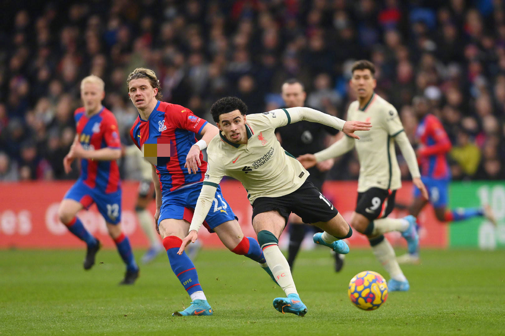 了此次胜利 了此次胜利